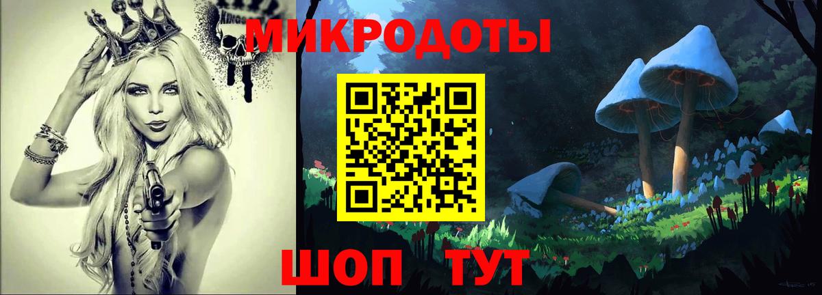 Галлюциногенные грибы Psilocybe  Нефтекумск 